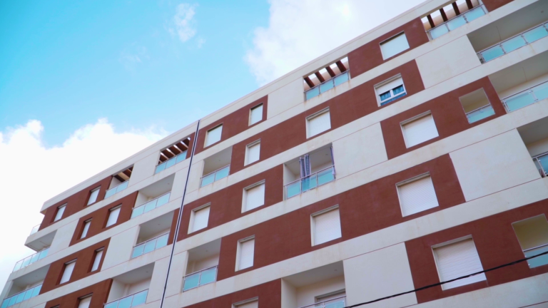 vlcsnap-2025-01-31-16h30m30s714 (1)