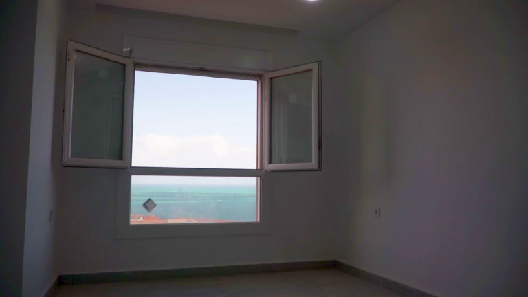 vlcsnap-2025-01-31-16h31m41s843